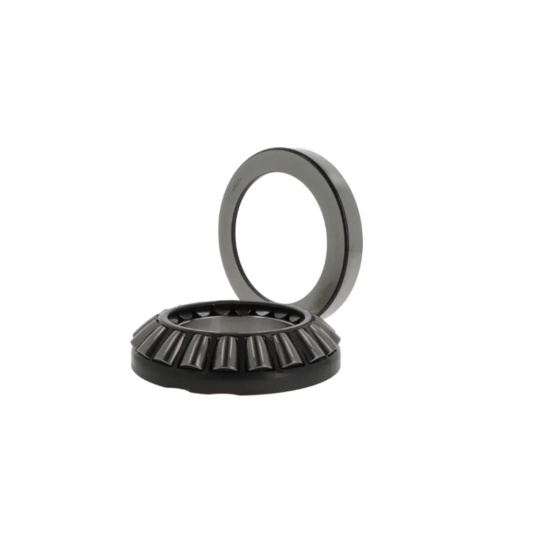 rotall-kugellagershop202605090142082996222