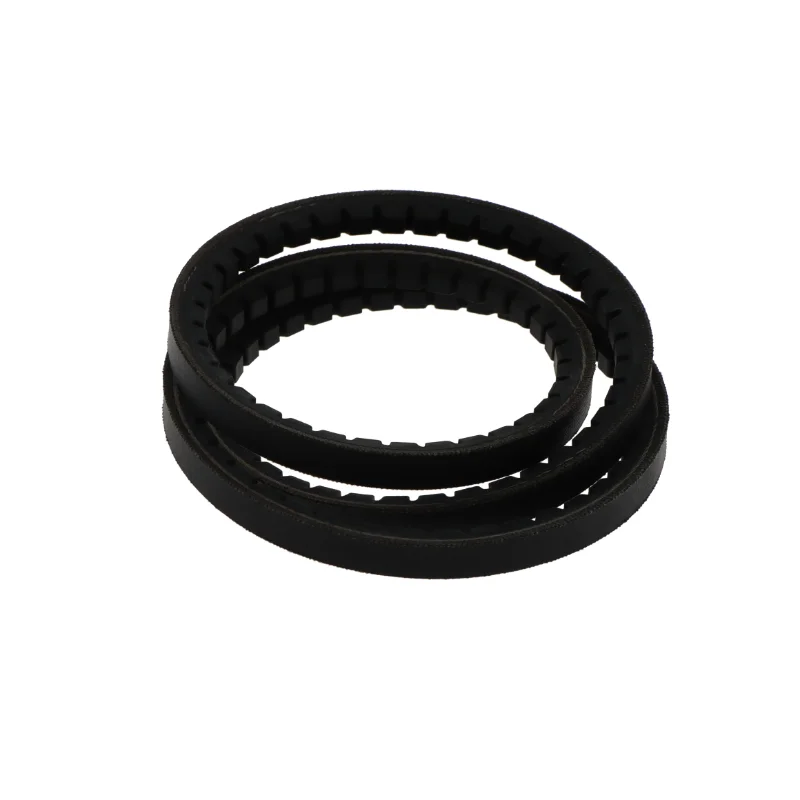 rotall-kugellagershop202605090806573053992